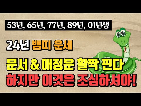 [2024년 띠별운세] 갑진년 뱀띠 나이별 운세 / 애정운 문서운 재물운은?