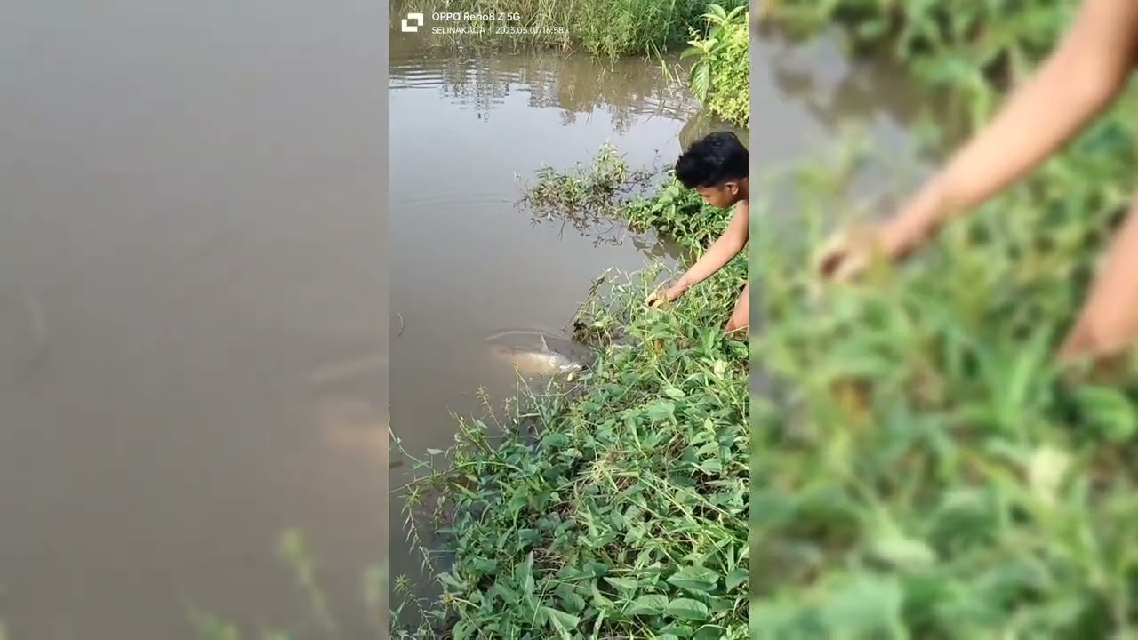STRAIK PATIN UPAN JITU PERDANA DI KOLAM  BOSSS Q
