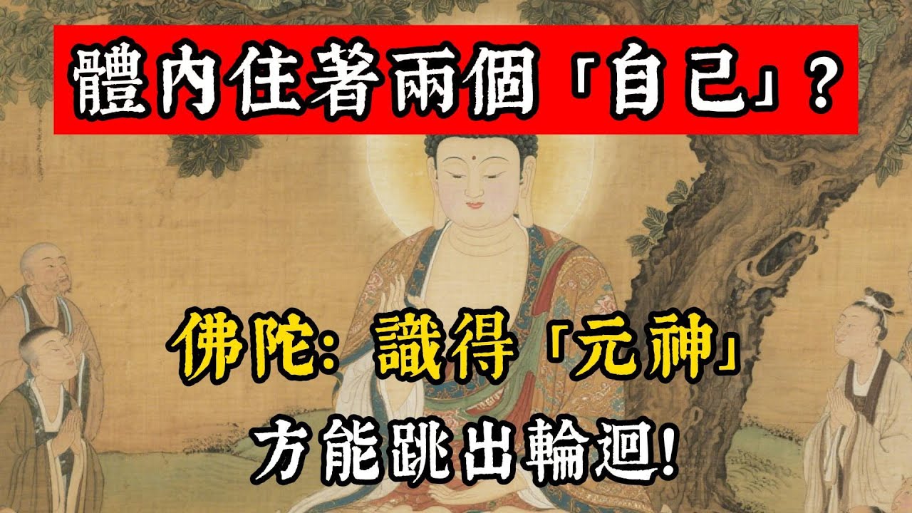 體內住著兩個 「自己」？佛陀：識得 「元神」，方能跳出輪迴！#佛學 #佛教 #佛說阿彌陀經 #佛說