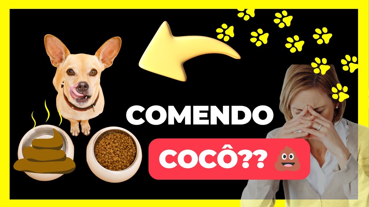 COPROFAGIA CANINA | Entenda o que é e como fazer o CACHORRO PARAR DE ...