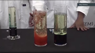 Make your own Lava Lamps! STEM NOLA Demonstrates Live on Fox 8 News