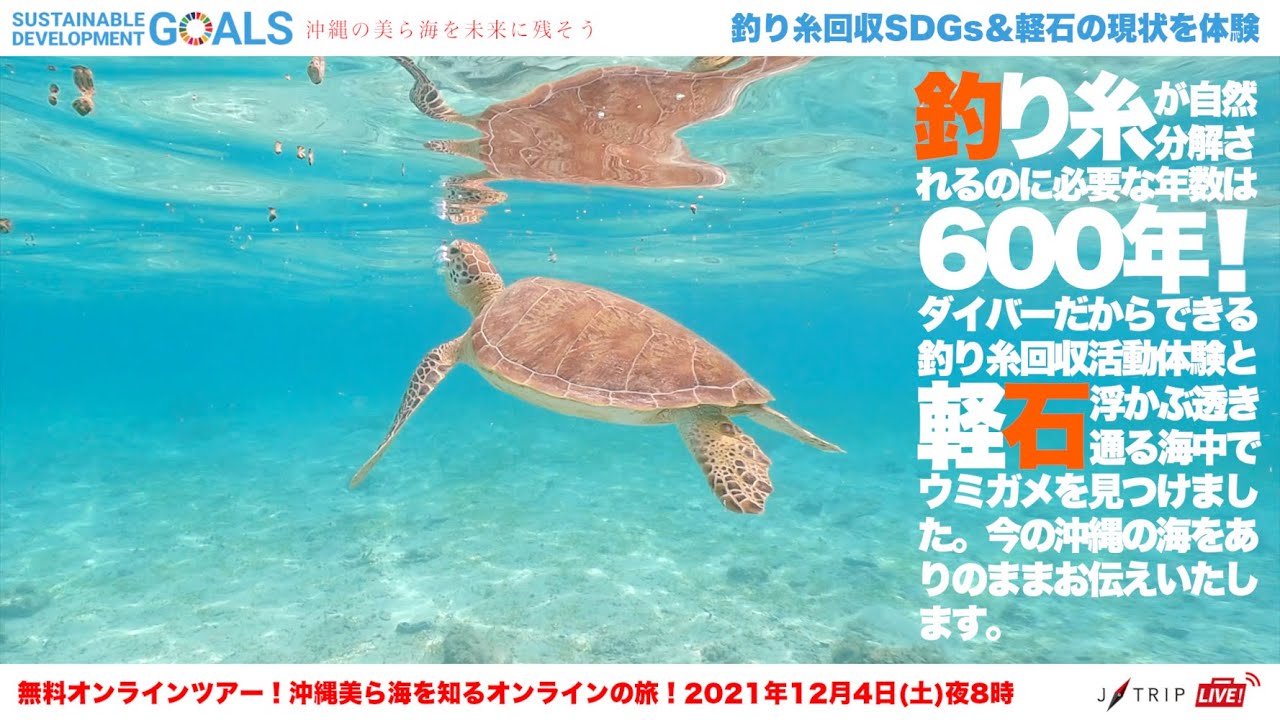 無料オンラインツアー 沖縄美ら海を知るオンラインの旅 釣り糸回収sdgs 軽石の現状を体験 Youtube