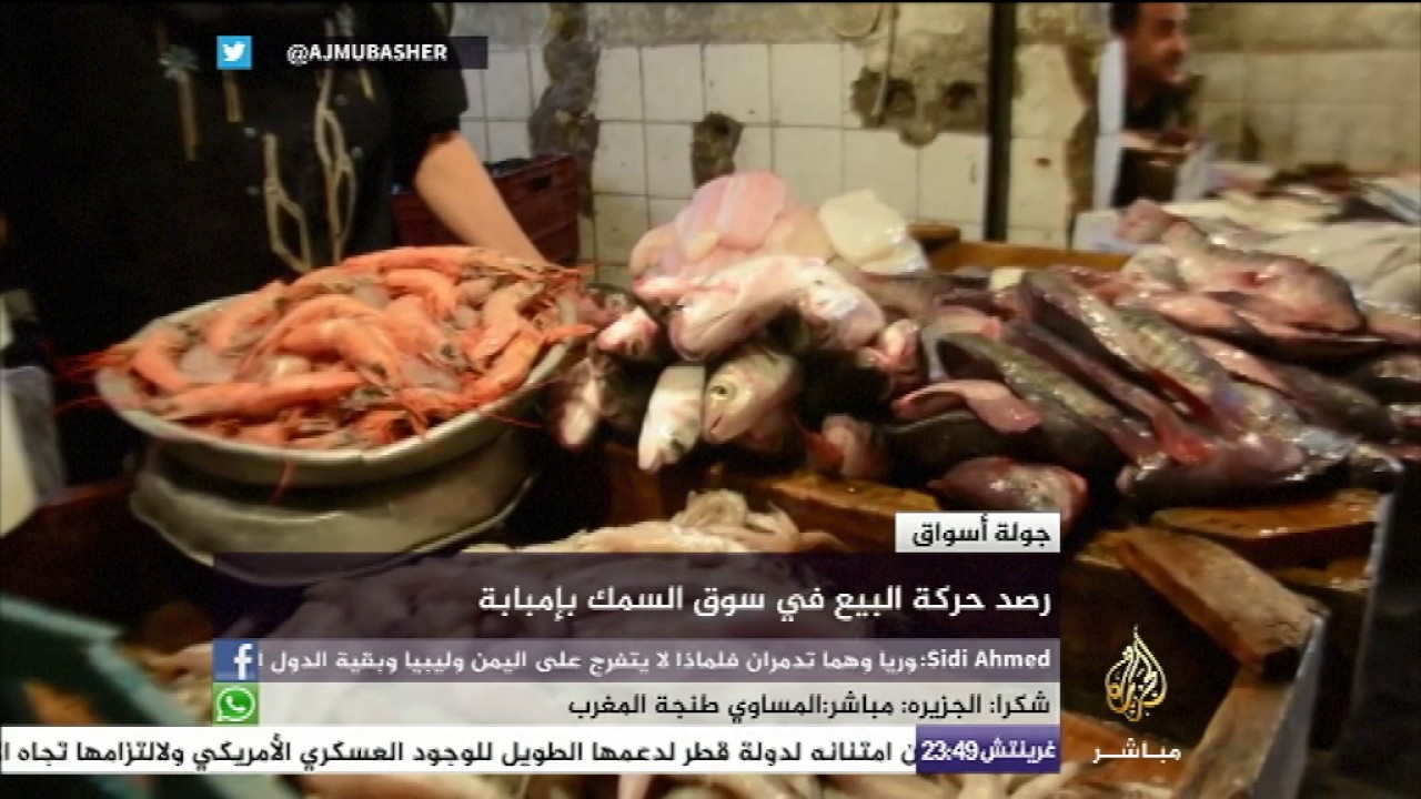 رصد حركة البيع في سوق السمك في إمبابة بمصر