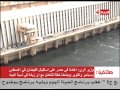 الحياة اليوم - وزير الري | بشاير فيضان النيل هذا العام بدات في الوصول بشكل كبير وأعلنا حالة الطواريء