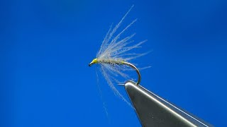 Tying a CDC Waterhen Bloa (Soft Hackle Wet Fly) with Davie McPhail screenshot 5