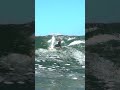 In the water at Nazare with Andrew Cotton