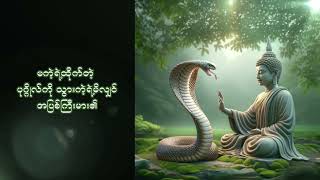 မကဲ့ရဲ့ထိုက်တဲ့ ပုဂ္ဂိုလ်ကို သွားကဲ့ရဲ့မိလျှင် အပြစ်ကြီးမား၏