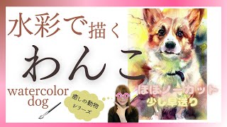 水彩でいぬを描いたよ！【watercolor/水彩画/犬/透明水彩/English subtitles】