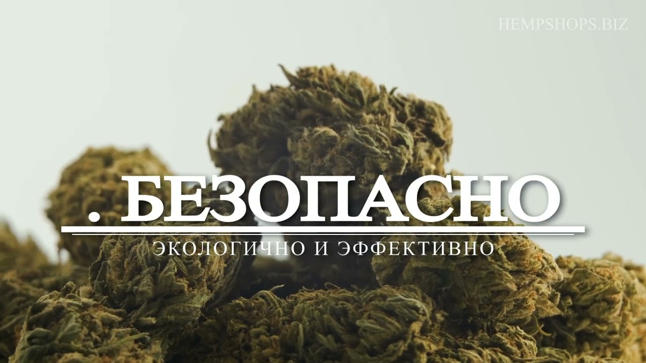 В HempShops.biz мы предлагаем эксклюзивный ассортимент продуктов из высококачественной конопли