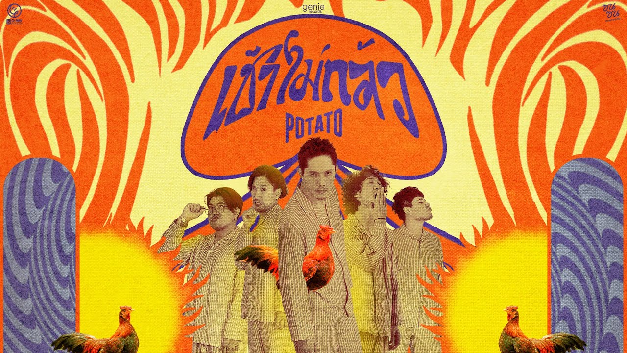 ปกเพลง เช้าไม่กลัว — POTATO
