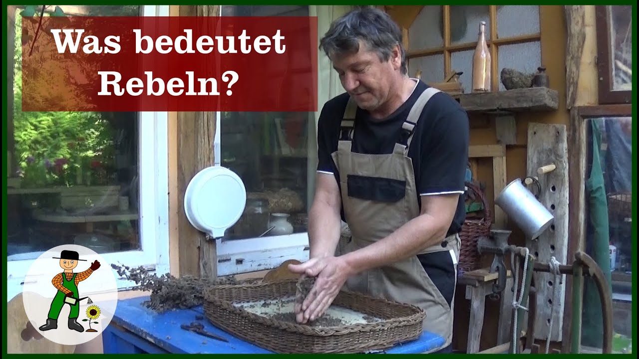 Was bedeutet Rebeln?