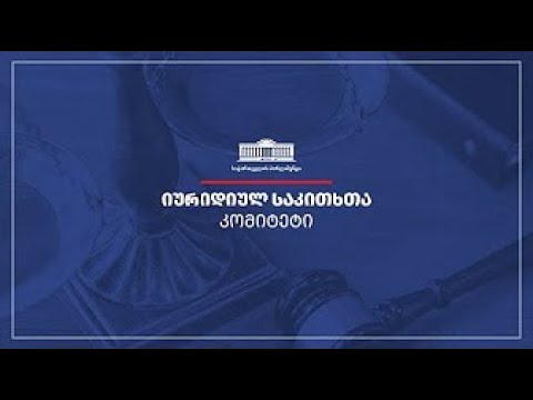 ევროპასთან ინტეგრაციისა და საგარეო ურთიერთობათა კომიტეტების ერთობლივი სხდომა  - 04.10.2022