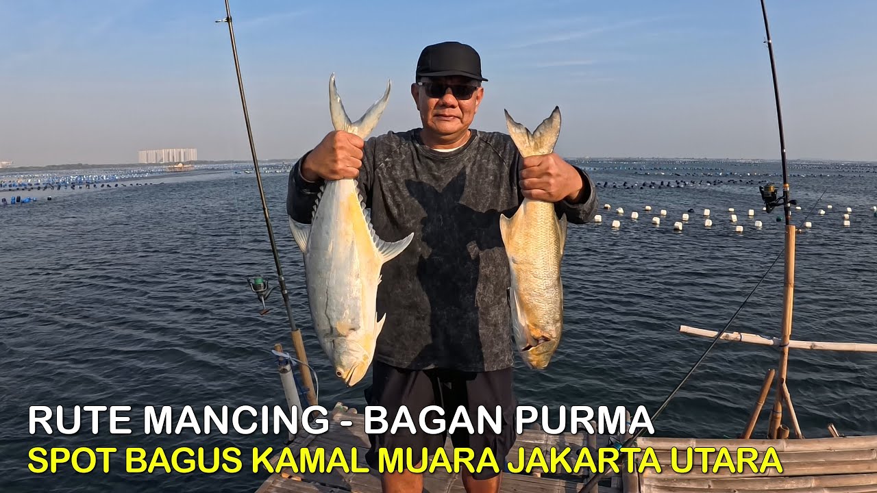 Rute Mancing Spot Bagus Bagan Purma Kamal Muara || Mancing Gaes