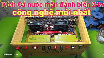 Kích cá nước mặn đánh biển lớn, 2biến áp 105  24v sò công xuất khủng gửi tới anh bình vĩnh long,