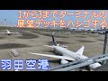 【空港探訪】羽田空港 3つの展望デッキをハシゴする！ 　*****  (Haneda airport) Observation decks hopping tour!