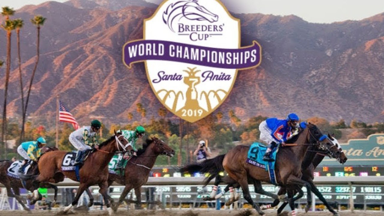 Breeders cup 2019 live Stream Watch Horse Racing World Championships