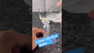 Don’t Use Old Rice Water ❌ (It Can Damage Your Skin)#oilyskin #ricewater