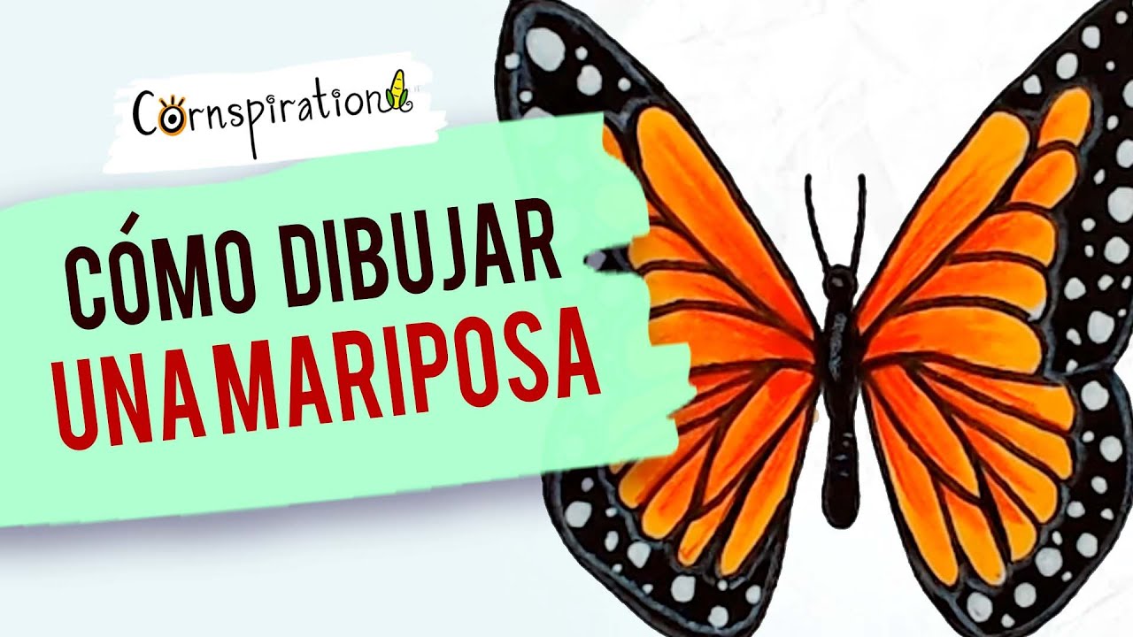 Cómo Dibujar Una Mariposa Volando Paso