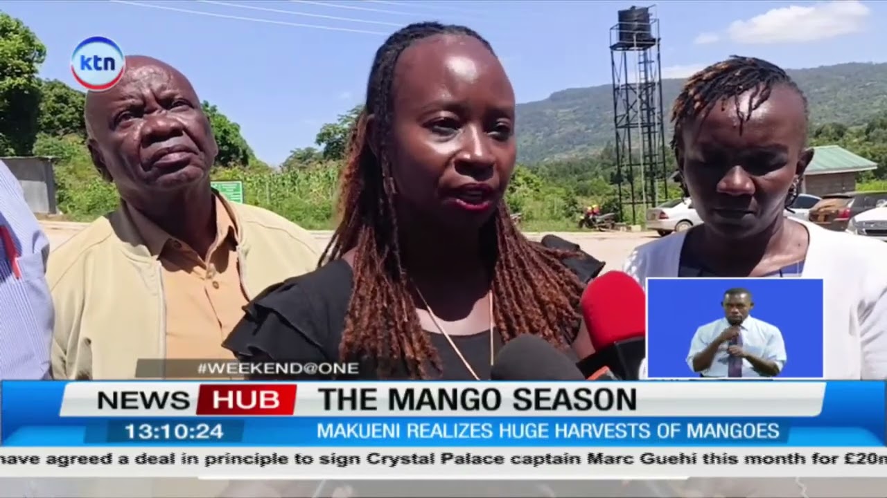Makueni mango season peaks as Kalamba Plant boosts farmer sales