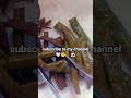 Palak Sticks ll #likeandsubscribe #trending #food #youtubeshorts #cooking #shortsfeed #new #like