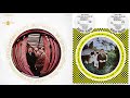 Video thumbnail for Captain Beefheart & His Magic Band - "Abba Zaba" (1967) - Safe As Milk [Stereo Mix]
