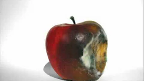 Como a maçã apodrece de dentro pra fora?