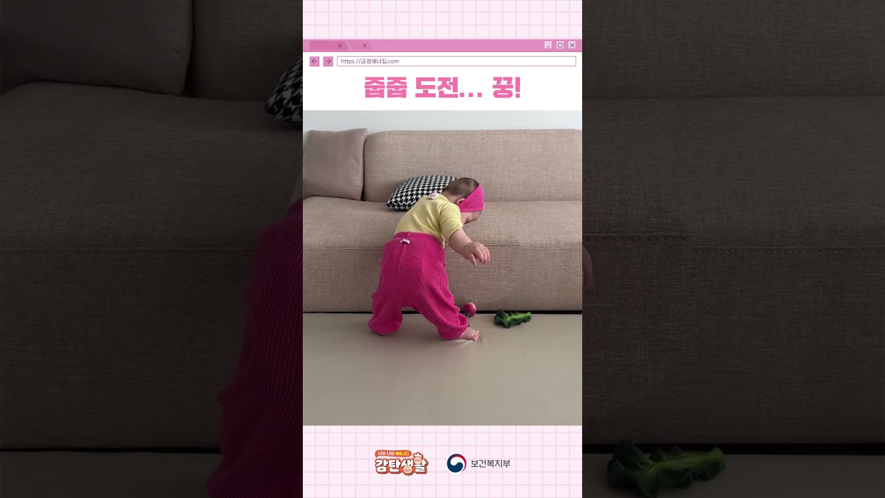 ]긍정애너집] 줍줍 도전···꿍!