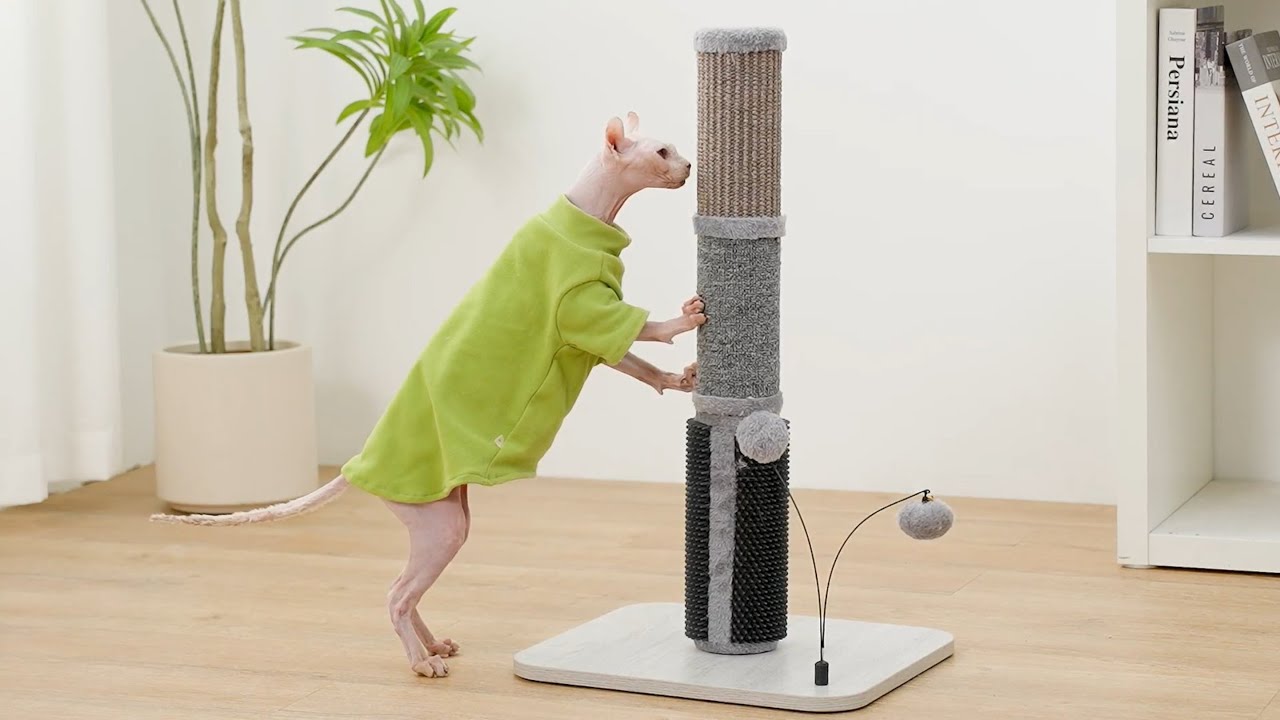 Mid-Century Style Meets Cat Comfort | PetPals® Urbane