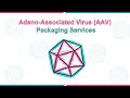 VectorBuilder Inc. | Adeno-Associated Virus (AAV) Packaging Services #genetherapy #customcloning