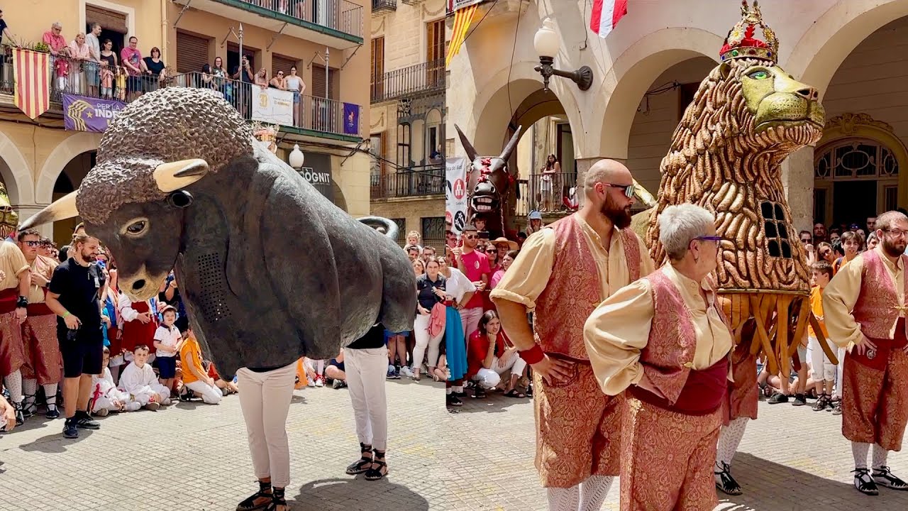 El BOU de Valls i el Lleó estan impacients a la espera de SANT JOAN 2025