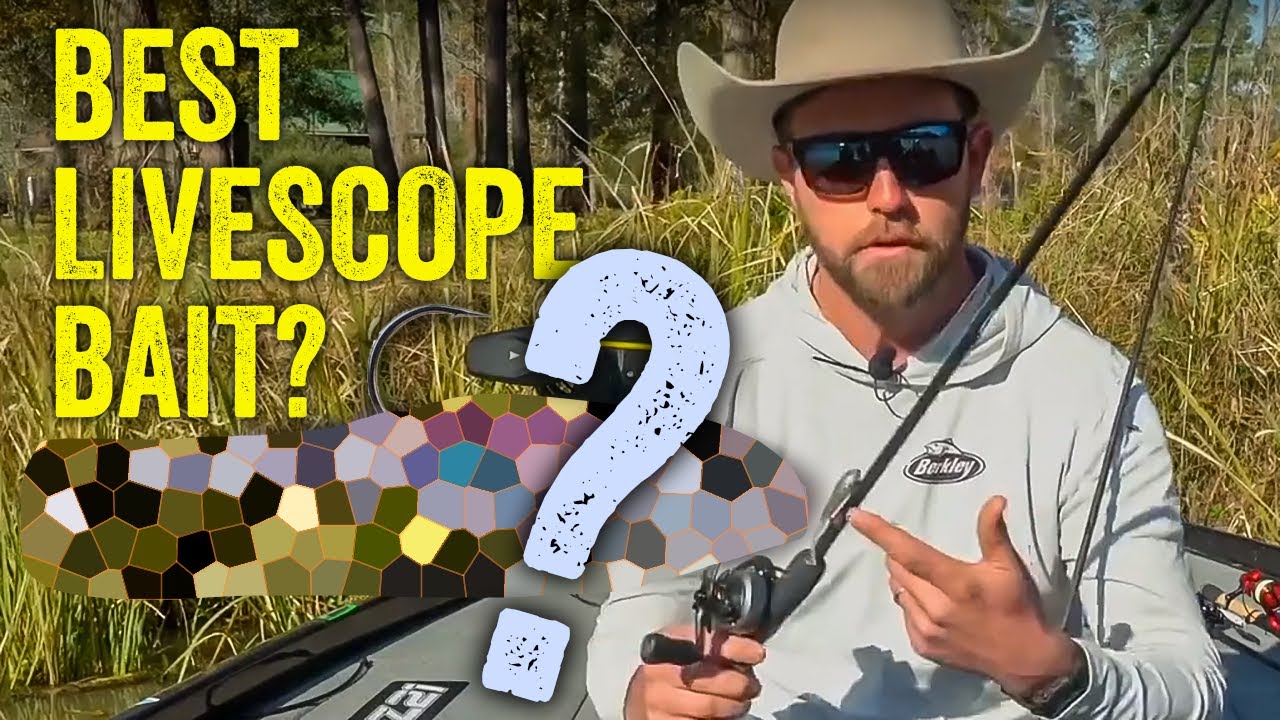 Bassmaster Pro Joey Cifuentes's SECRET WEAPON for LiveScope FFS