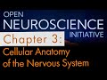 "Cellular Anatomy of the Nervous System" Open Neuroscience Initiative Chapter 3 (Free audiobook)