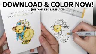 🐥 Copic Marker Easter Card Chicken Stamp Print, Color & Create at Home!