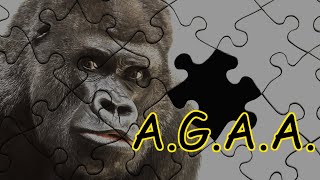 All Gorillas Are Autistic