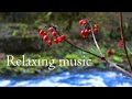 Relaxing music Scenic relaxing video Soothing music | Релакс Спокойная Расслабляющая музыка