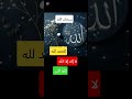 اذكروا الله ذكرا كثيرا وسبحوه بكرة وأصيلا صلوا على النبي ﷺ يصلك اكسبلور دويتو 