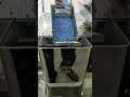 SMALL SCALE LINEAR WEIGHER FOR GRANULES FILLING