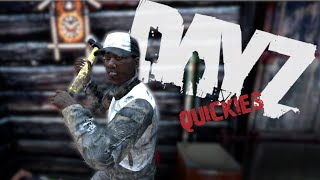 I Didn't Expect This Plot Twist - DayZ Quickies
