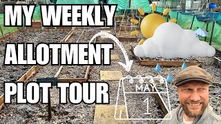 MY WEEKLY ALLOTMENT PLOT TOUR | MAY | WEEK 1 | GROW VEGETABLES IN THE UK