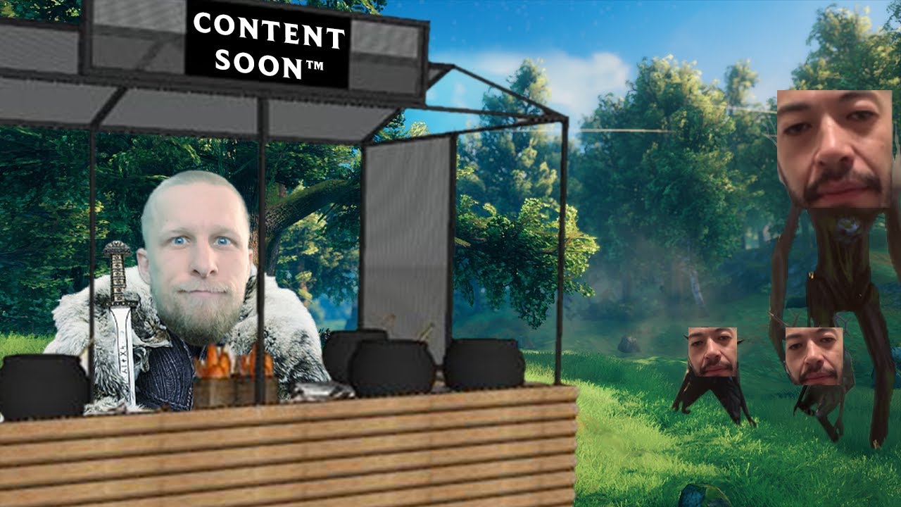 PainChamp l HC Valheim Gameplay - Quin69 Highlights #6