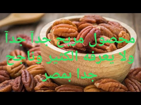 نبات مربح جدا ومهم جدا للصحةويغفل عنه الكثير (البيكان) أو الجوز الامريكي