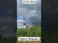 Чудеса природы