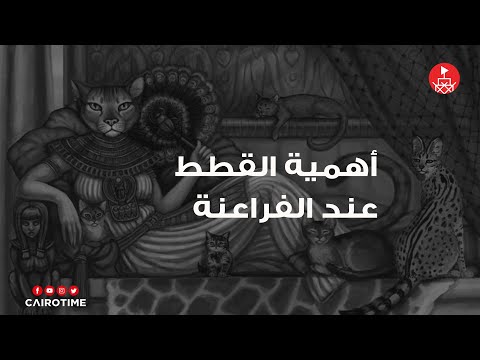 أهمية القطط عند الفراعنة