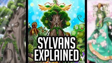 Sylvans Explained In 22 Minutes [Yu-Gi-Oh! Archetype Analysis]