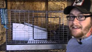 Raising meat rabbits: Rabbit cage wire issue