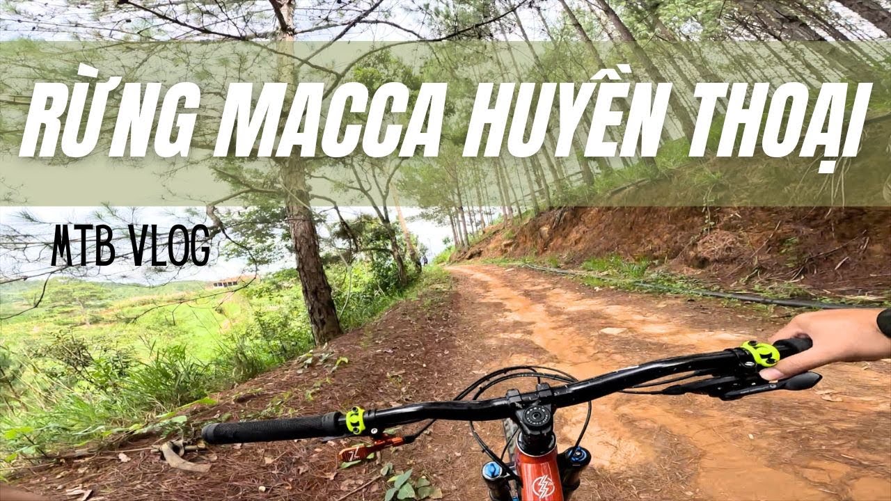 Đạp xe xuyên rừng Macca Đà Lạt