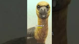 Strange but Amazing Dinosaurs 🦖