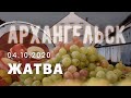 Праздник Жатвы. Архангельск