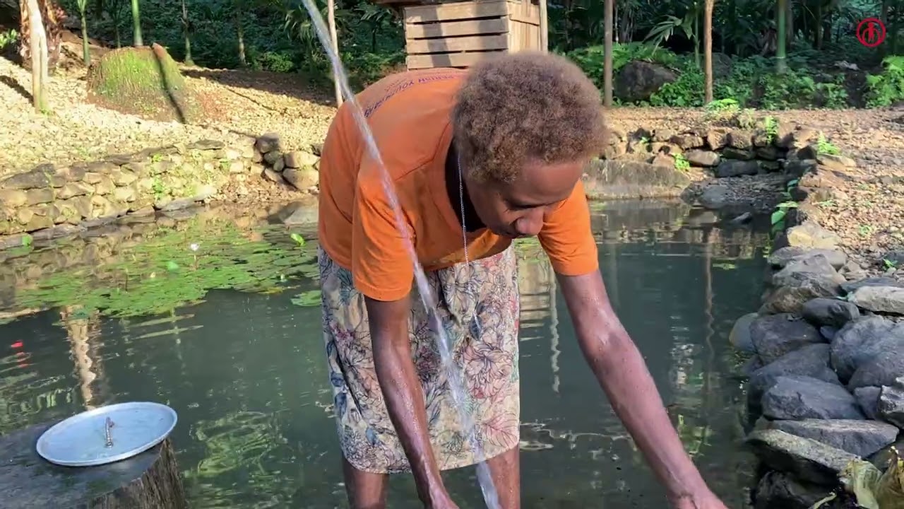 A Tale of Ambition and Resilience