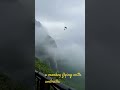 #funny #monkeyvideo #mokeys #monkeyking #monkeyvlog